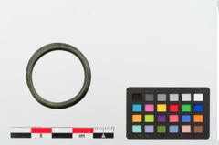 Foto von Bronzering (NHMW-PRAE-024148)